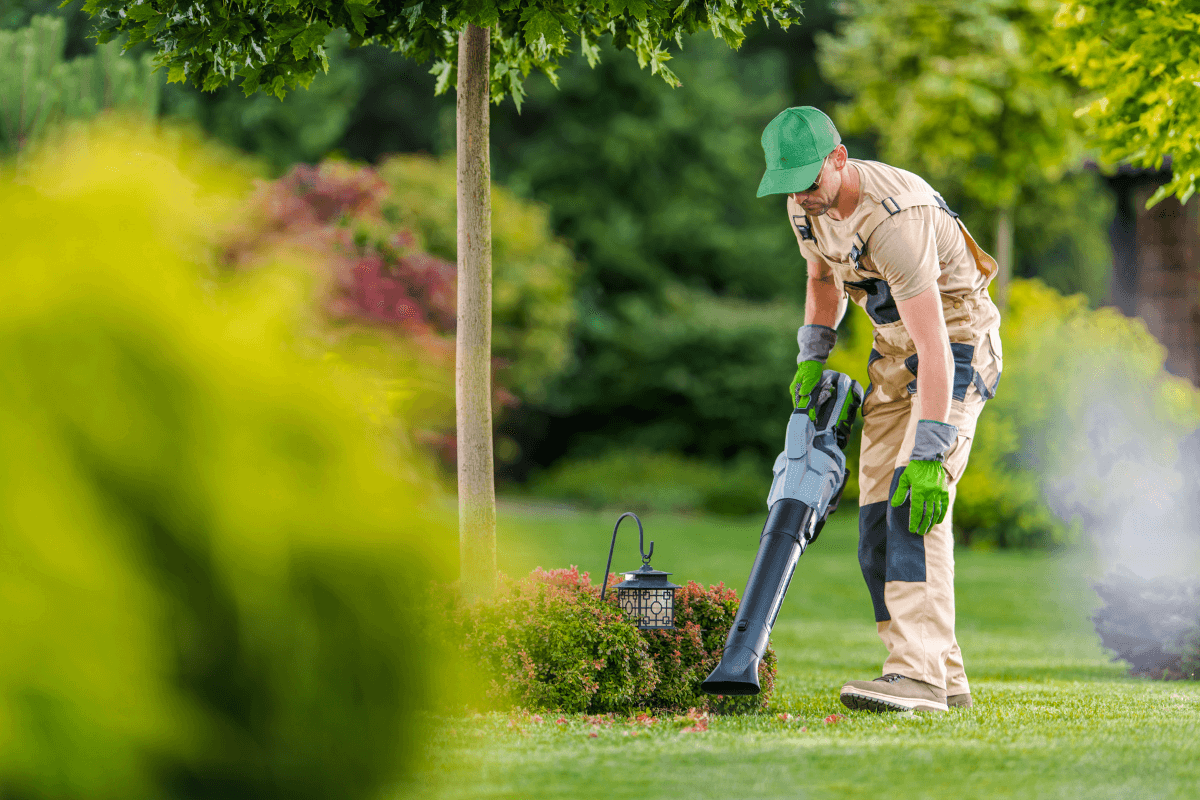 Eco Friendly Pest Control