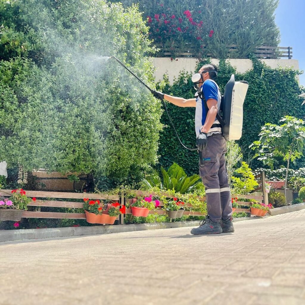 common pest in dubai